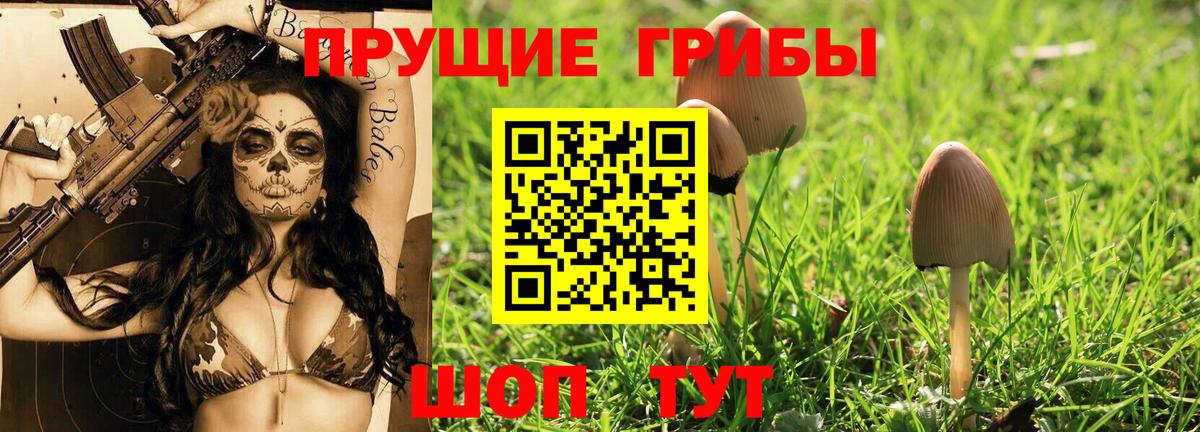 Галлюциногенные грибы мицелий  Вход с VPN  Клин 